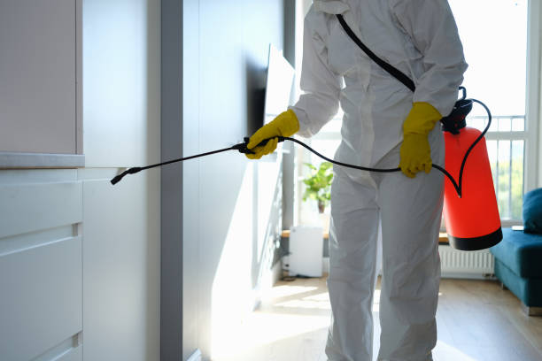 Best Residential Mold Remediation in Manhattan, KS