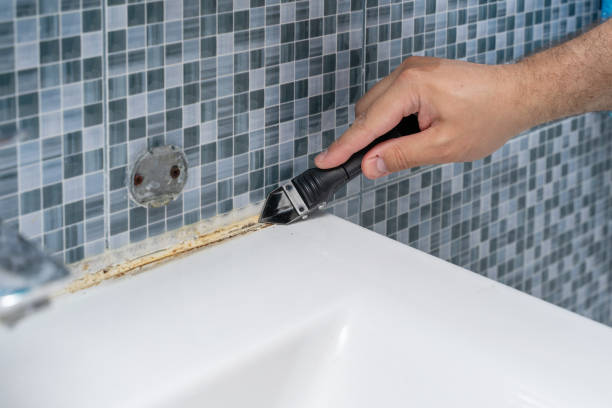 Best Insurance-Related Mold Remediation in Manhattan, KS